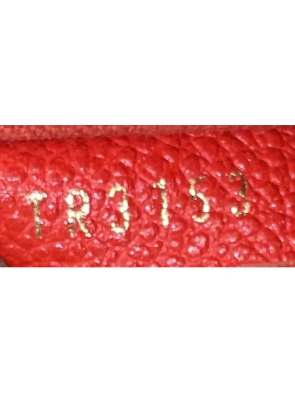 Louis Vuitton Lumineuse Handbag #324529L86B